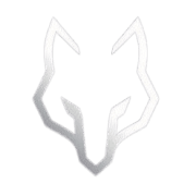D Square Logo